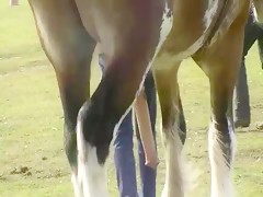 Thumb 11