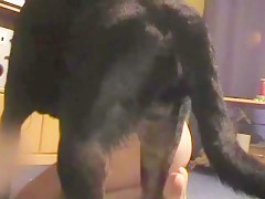 Hot version of Lassie doing bestiality