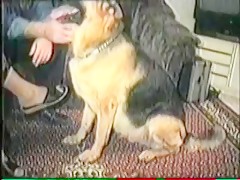 Carwash Day! Bubble Butts and Sudsy Sluts