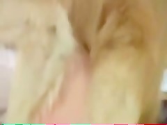 Follando por el culo con el perro