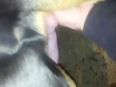 El cura follarubias