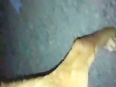 Thumb 14