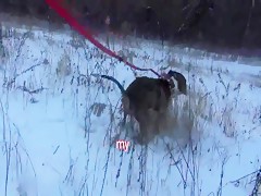 Jovencita caliente tomando semen de perro