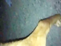 Thumb 13