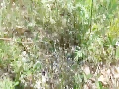 La suerte del perro con la rubia caliente