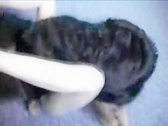 Thumb 15