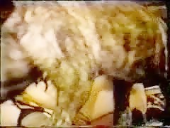 3 lesbianas y un perro