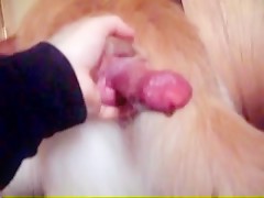 Thumb 11