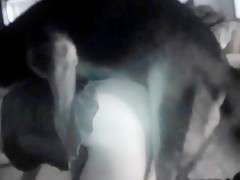 Thumb 12