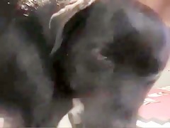 Thumb 14