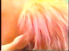 Bibliotecaria amante de la zoofilia