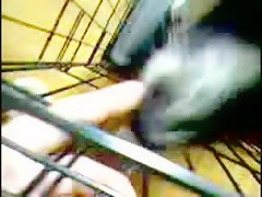 Thumb 8