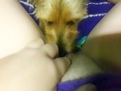 Thumb 2
