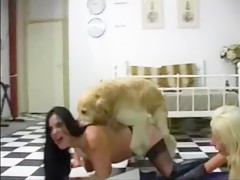Pretty girl mounts dog