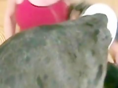 Unicornio en el alatar