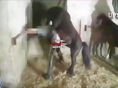 El mejor amigo de mi mujer la folla