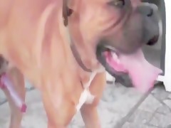 Lesbian friends in cam