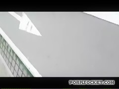 Enseñando a su dog
