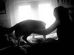 El poder de su perro