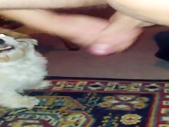 Thumb 16