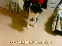 Teen Gropes Her Own tits