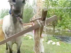 Caperuzorra y el lobo
