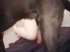 Flacucha se excita con caballo