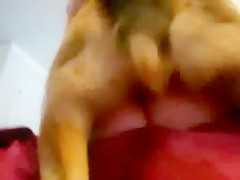 Una perra y su dueño