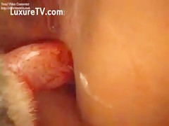 Thumb 15