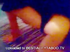 Chocho rasurado para perro goloso