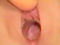 Saco a la esclava para el perro