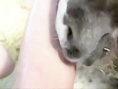 Thumb 18