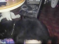 Thumb 11
