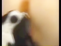 Thumb 8