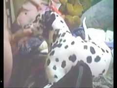 Mulata slurpea polla de caballo