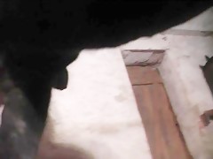Thumb 20