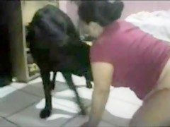 My privates bestiality videos 6