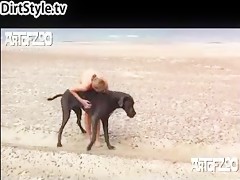 Dog leave my pussy wet