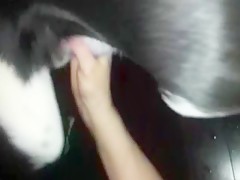 Thumb 11
