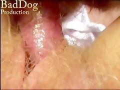 primero el marido y despues el perrito