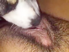 Su hocico en mi conejo