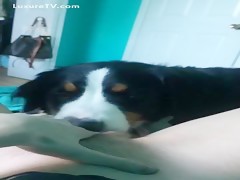 Thumb 3