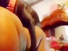 True bestiality amateur wife - BestialPorn.net