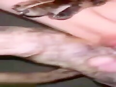 dog fuck